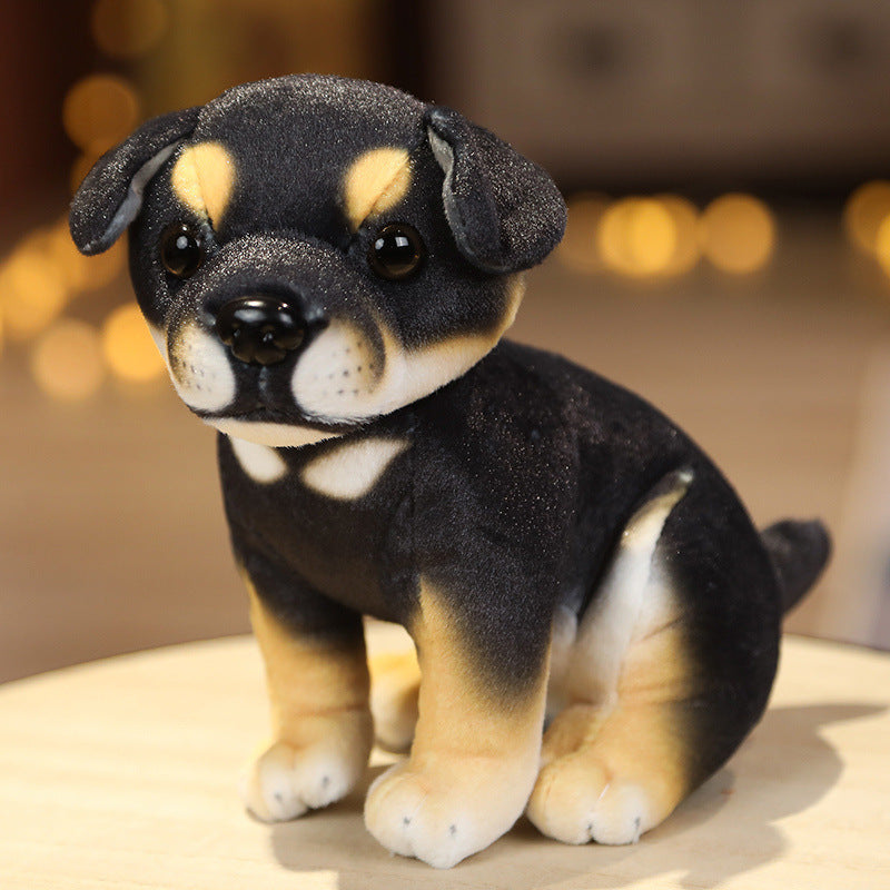 Cute Husky Dolls Plush Toys